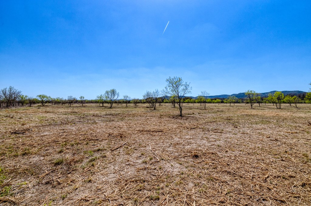 main property photo 53