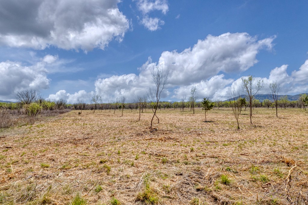 main property photo 55