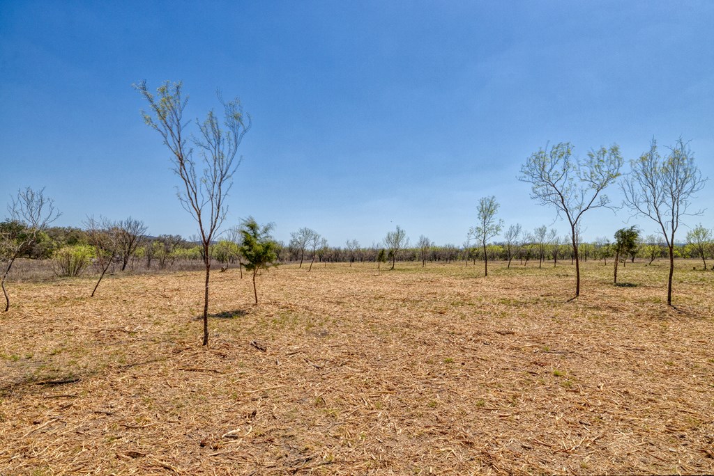 main property photo 56