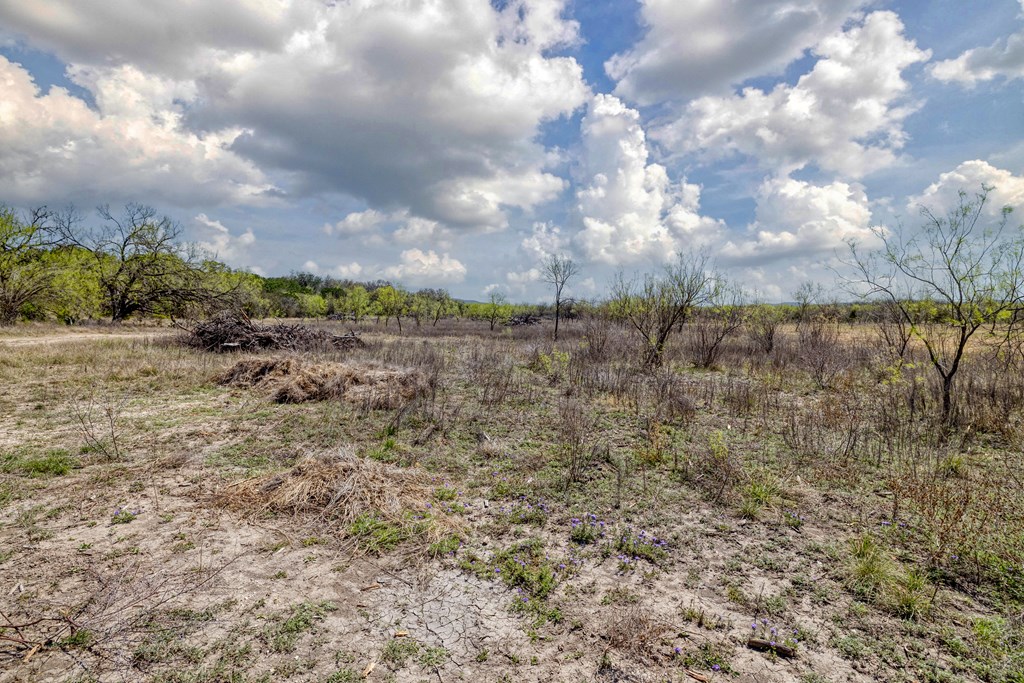 main property photo 58