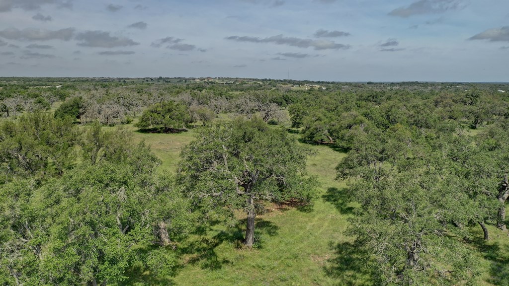 main property photo 52