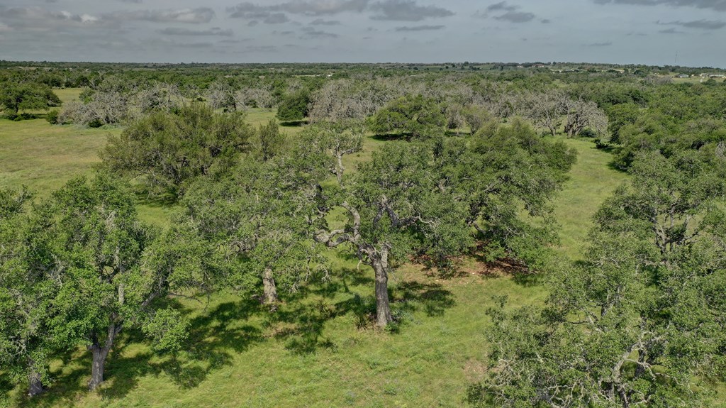 main property photo 53