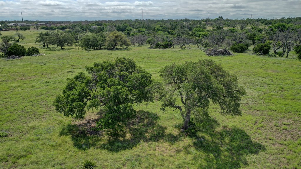 main property photo 55
