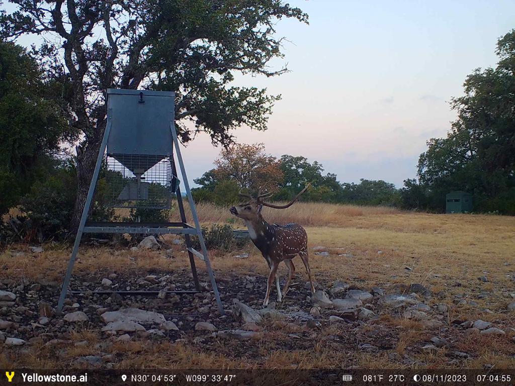 main property photo 24