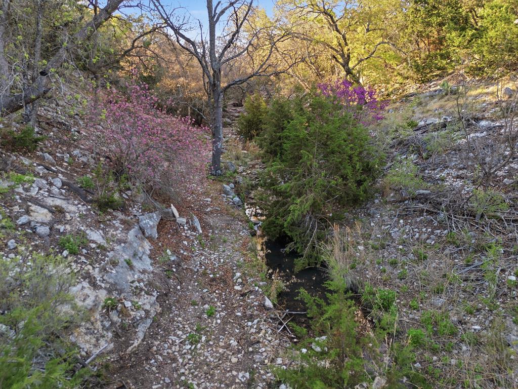 main property photo 71