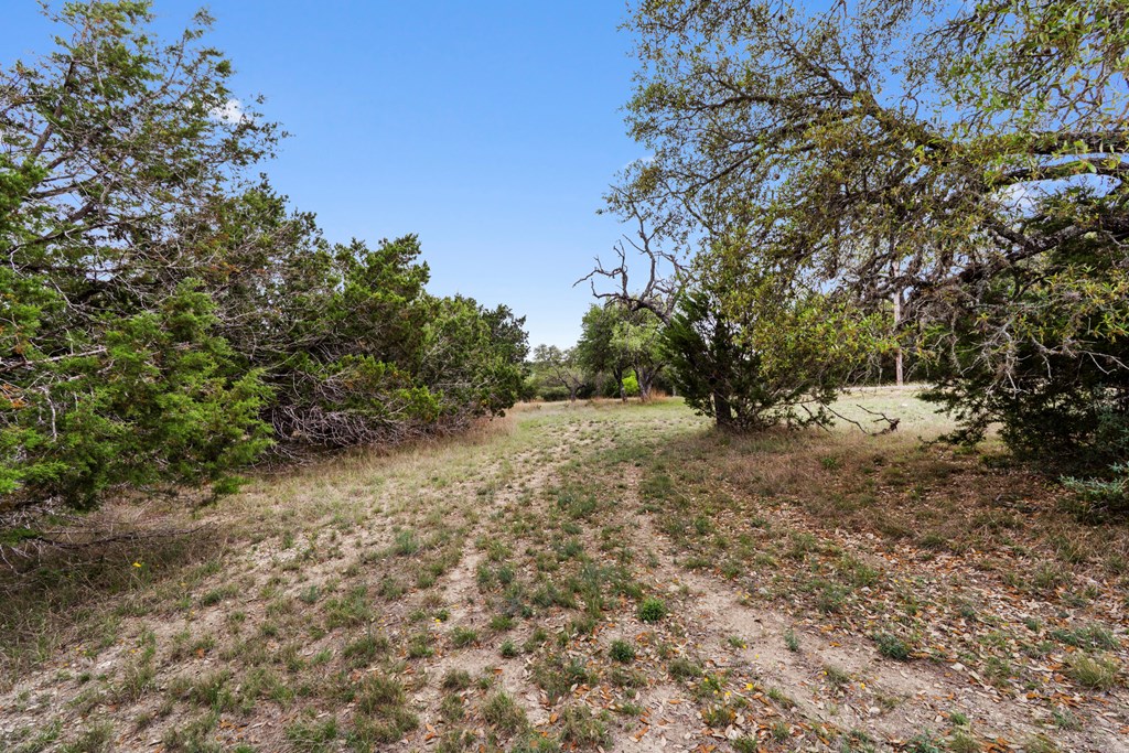 main property photo 39
