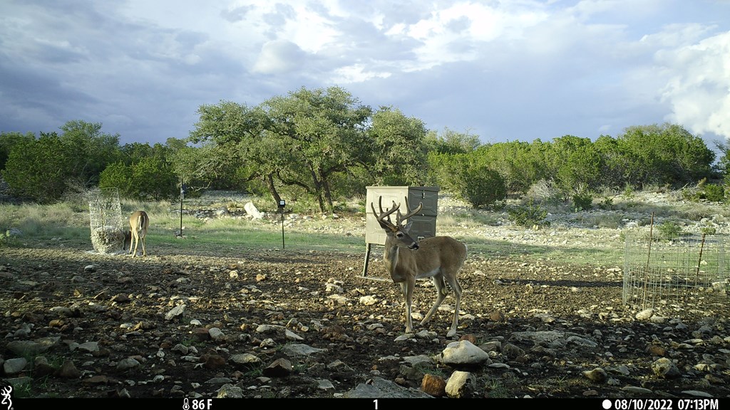 main property photo 21