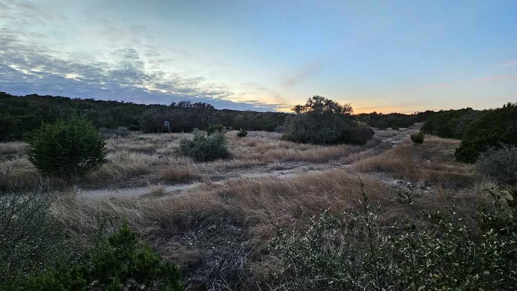 main property photo 25