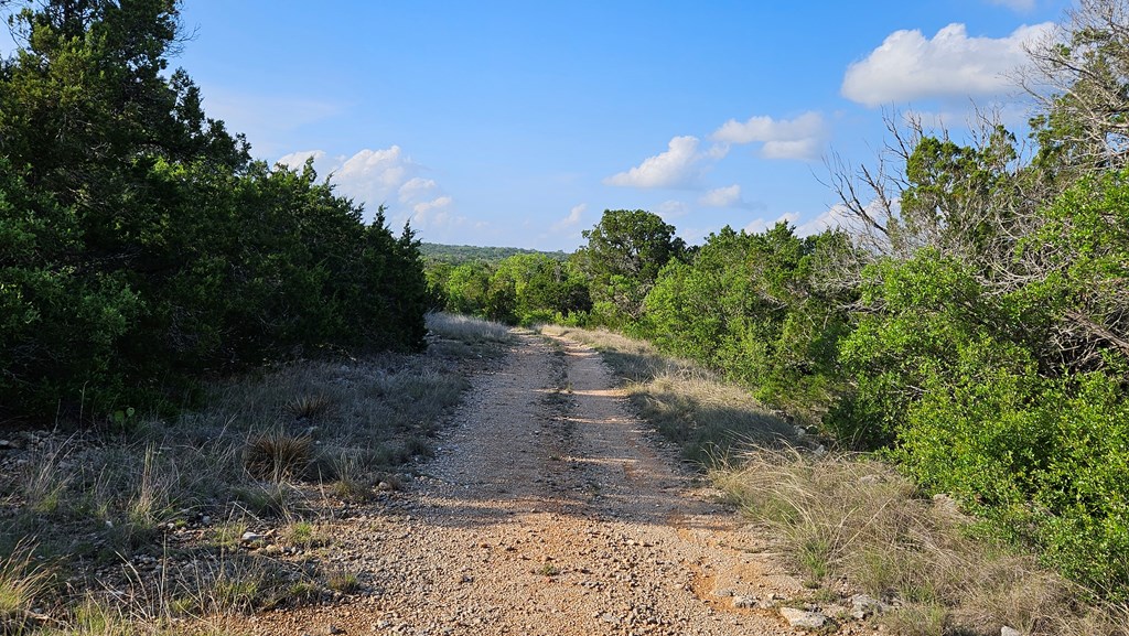 main property photo 29