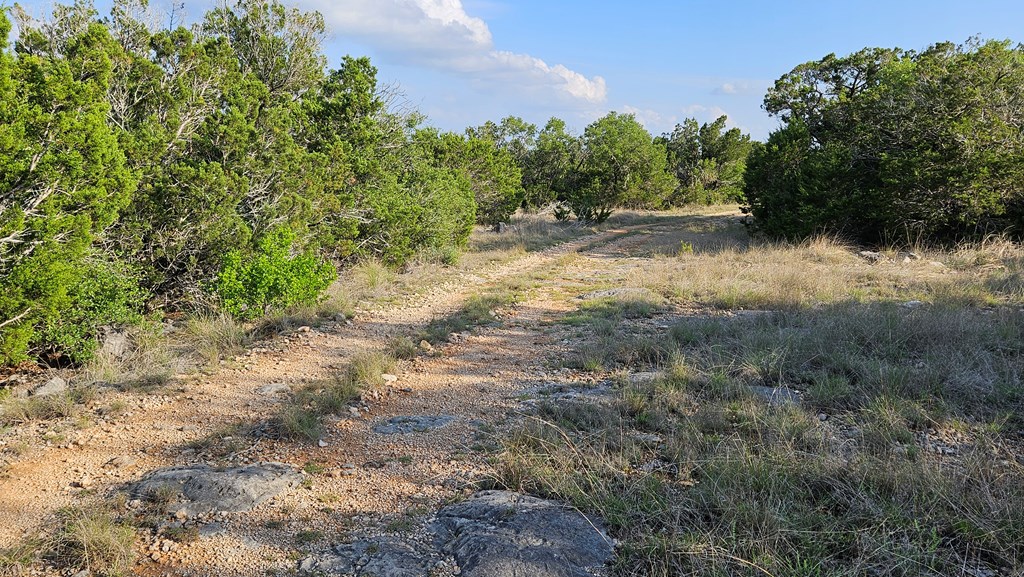 main property photo 30