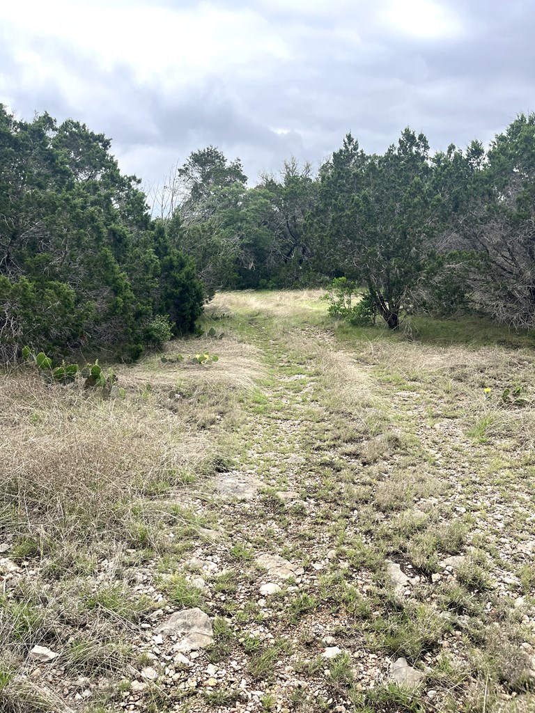 main property photo 13