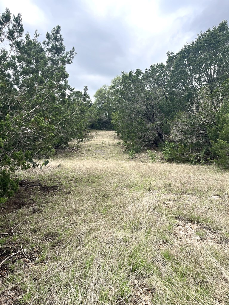 main property photo 15