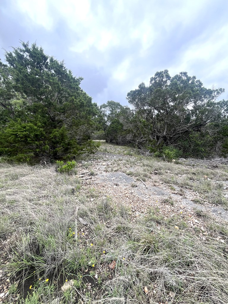 main property photo 19