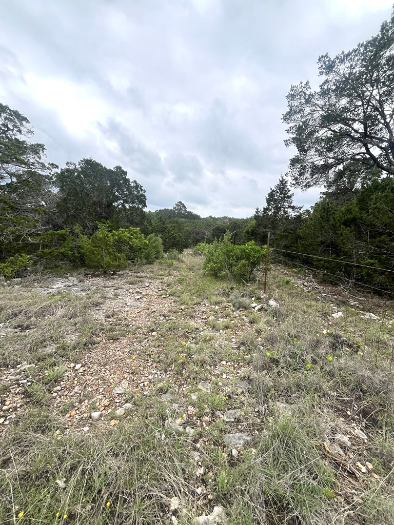 main property photo 20