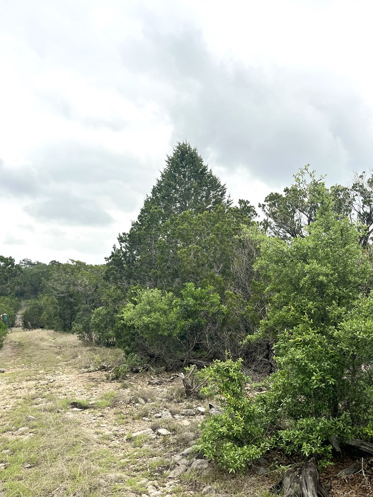 main property photo 27