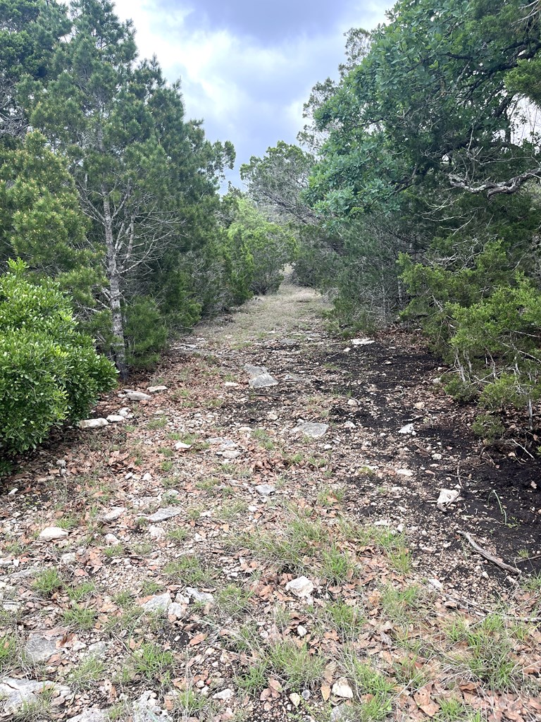 main property photo 29
