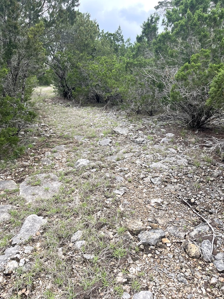main property photo 34