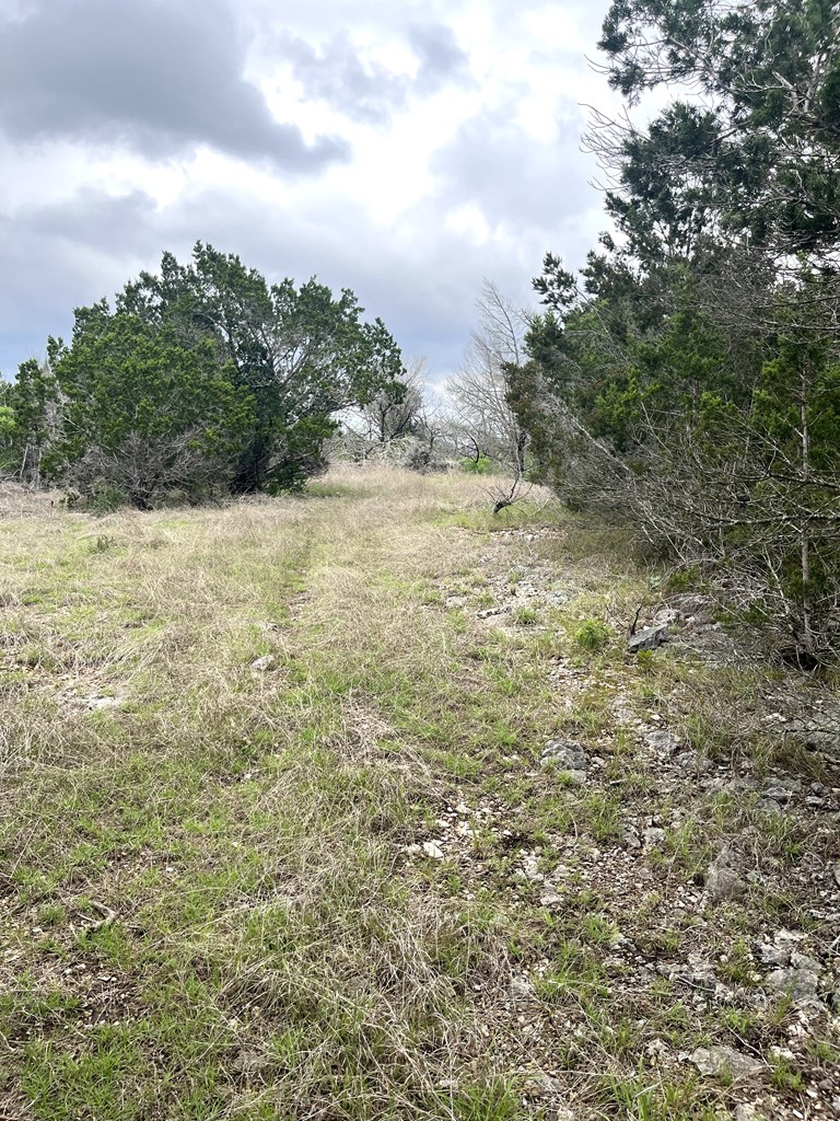 main property photo 35