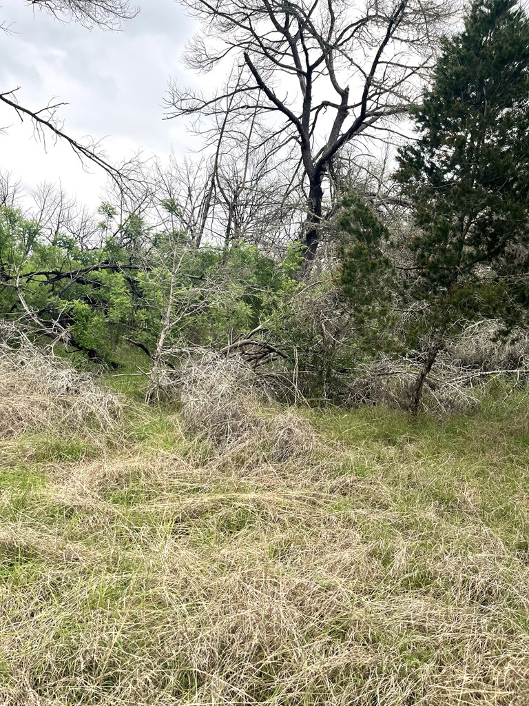 main property photo 36