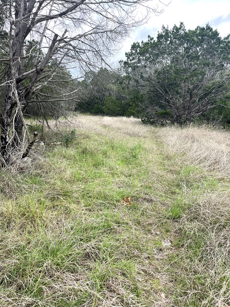 main property photo 37