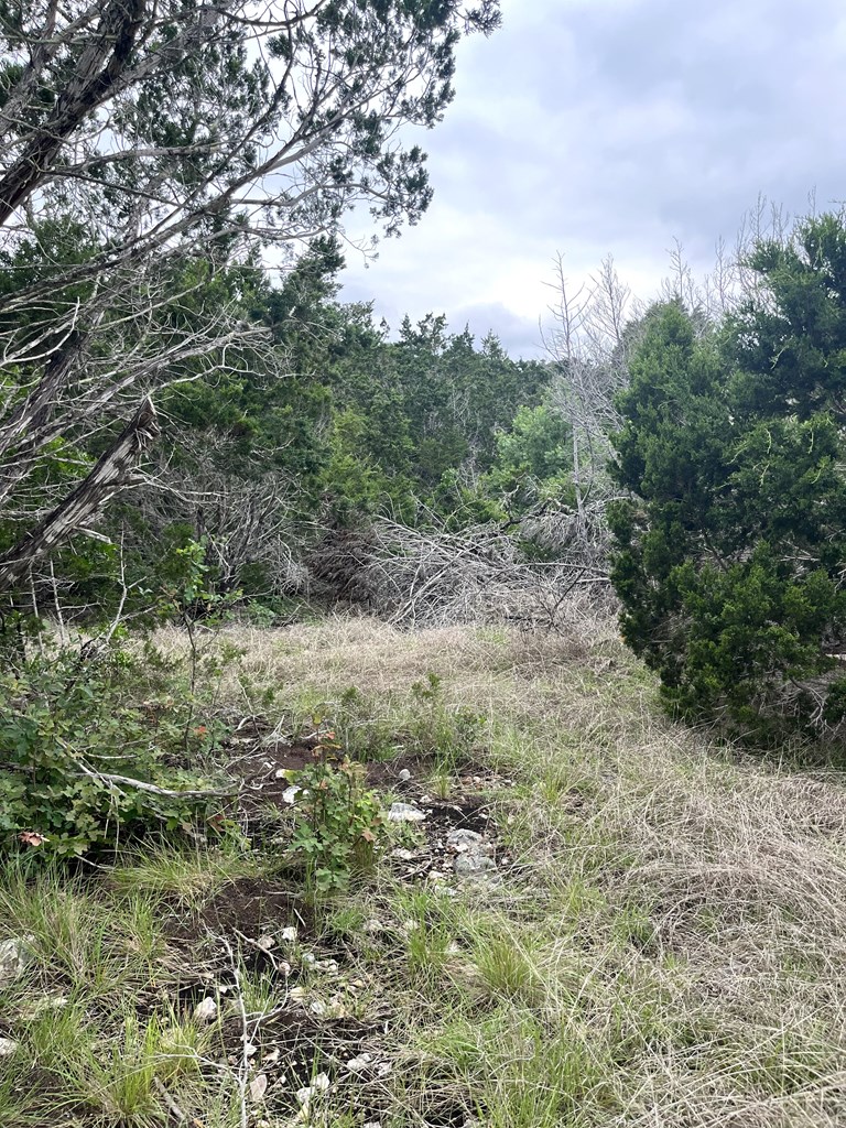 main property photo 38
