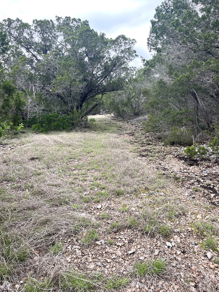 main property photo 40