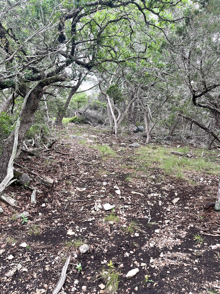 main property photo 41