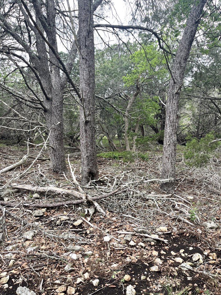main property photo 43
