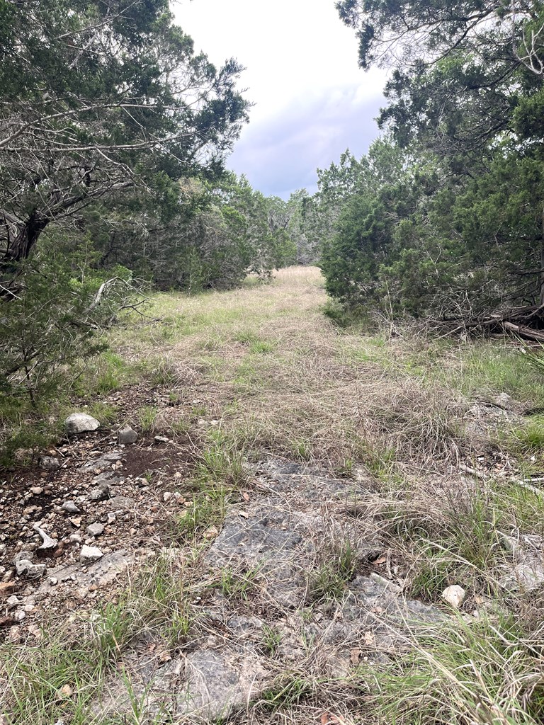 main property photo 44