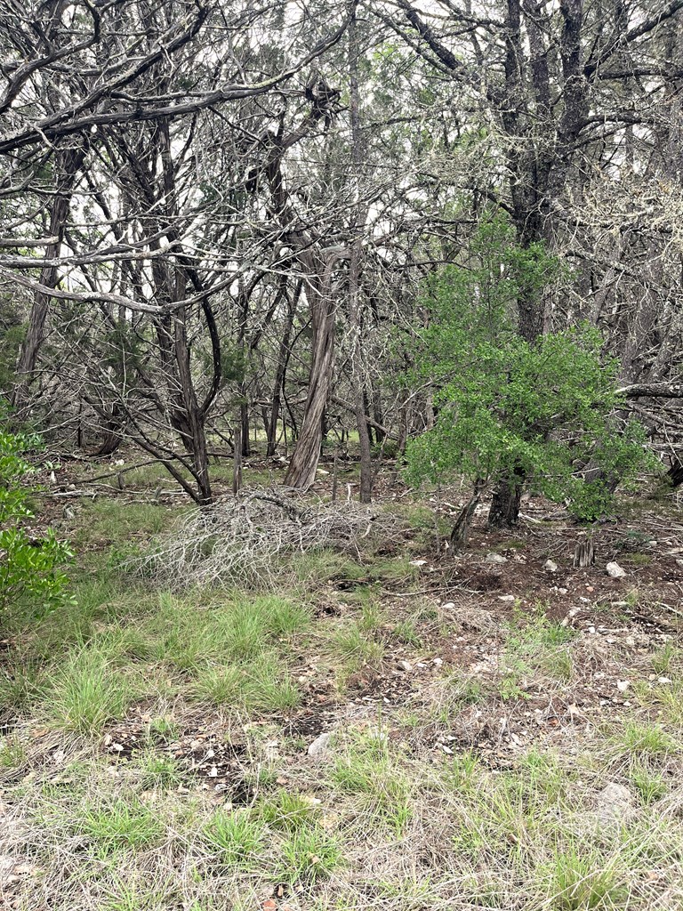 main property photo 45