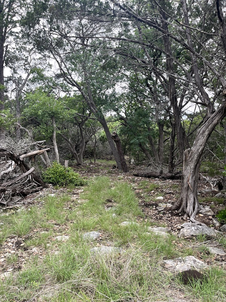 main property photo 46