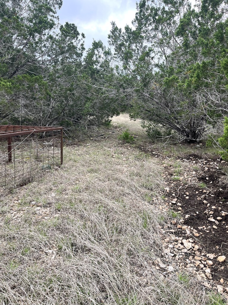 main property photo 48