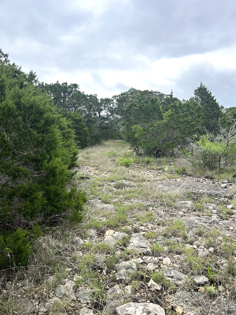 main property photo 49