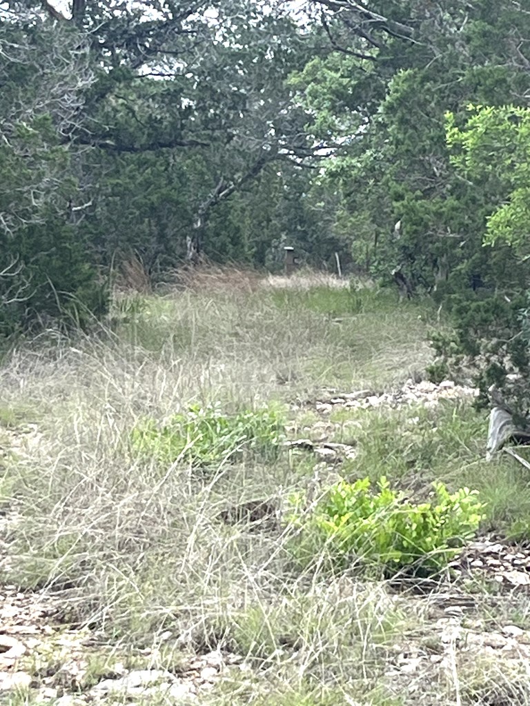 main property photo 50