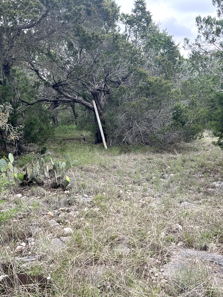 main property photo 51