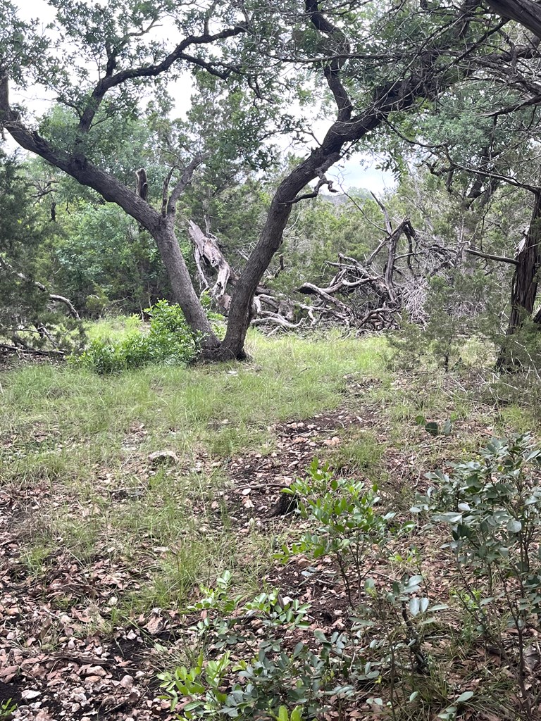 main property photo 52