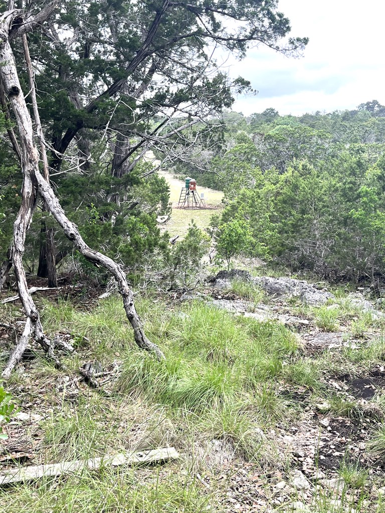 main property photo 53