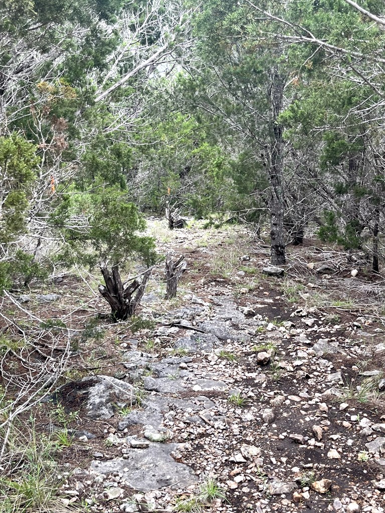 main property photo 54