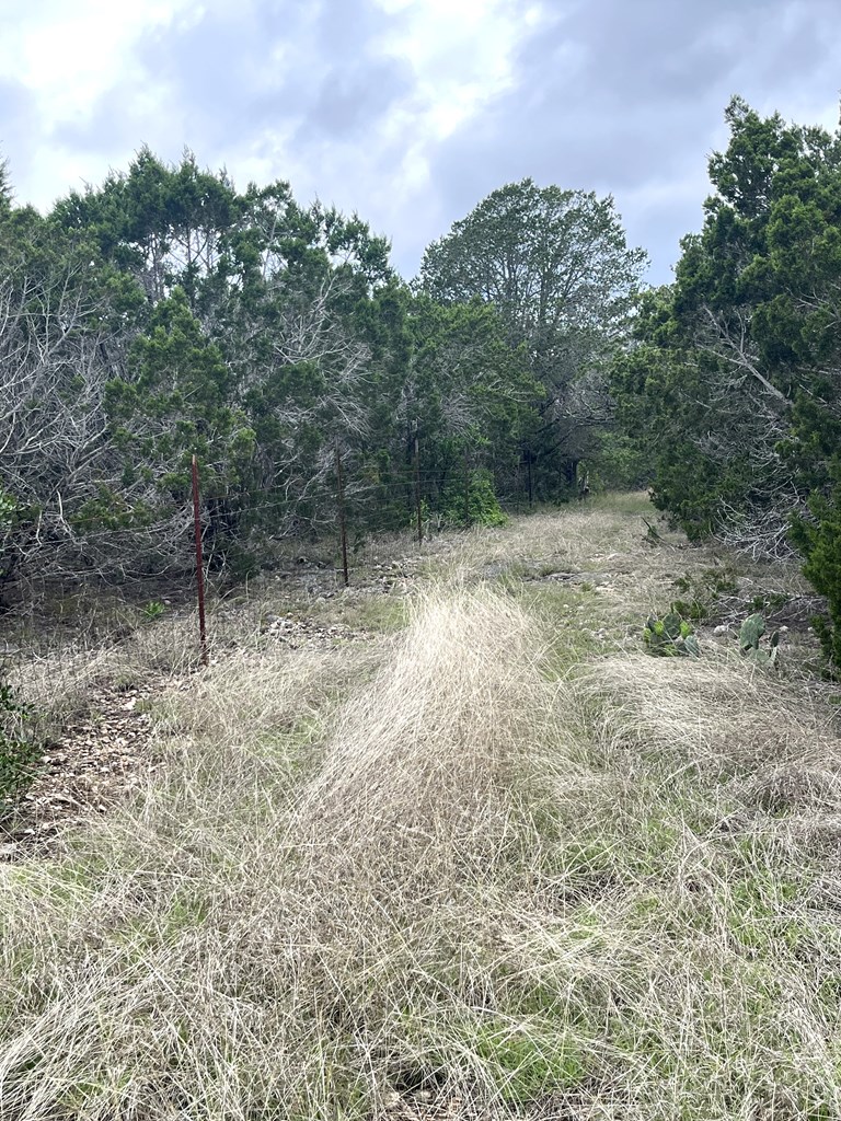 main property photo 56