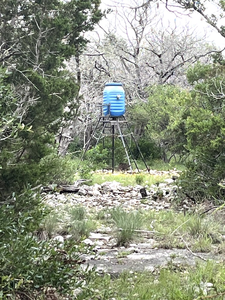 main property photo 58