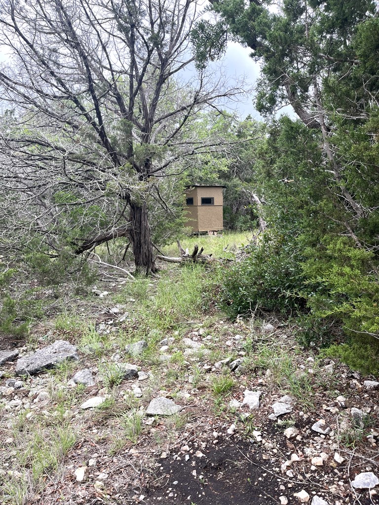 main property photo 59