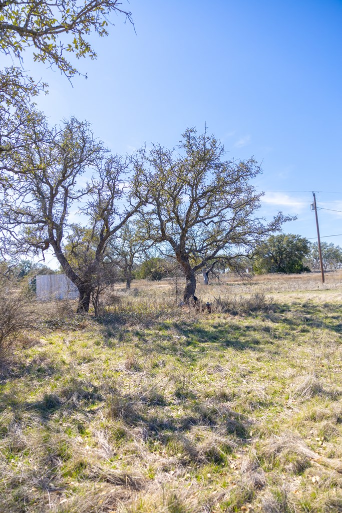 main property photo 51