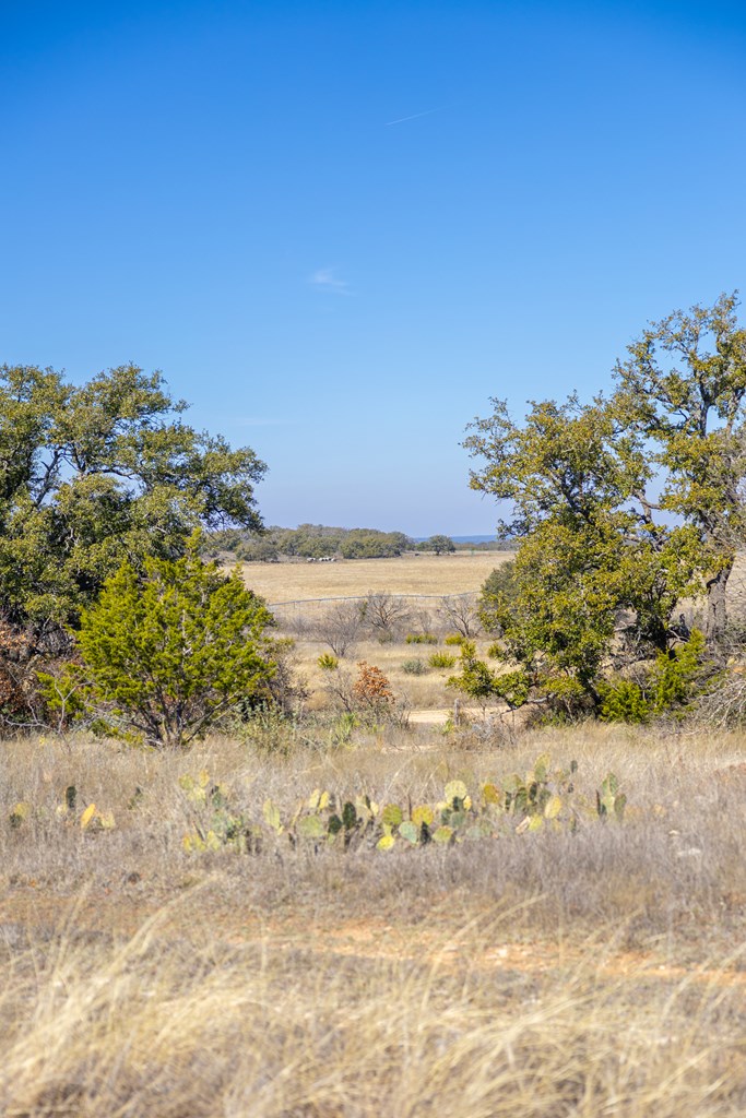 main property photo 77