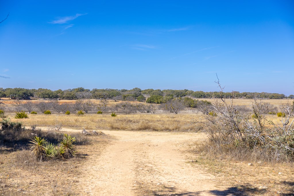 main property photo 85