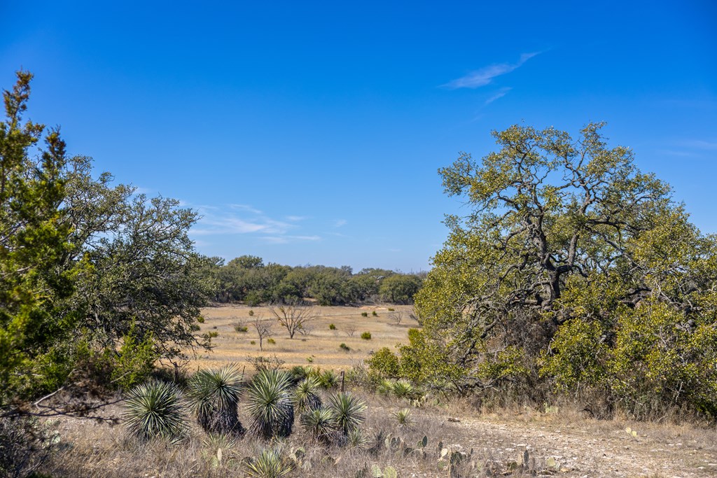 main property photo 90