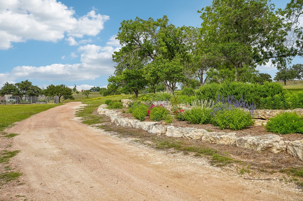 main property photo 74