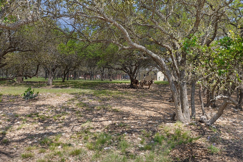 main property photo 39