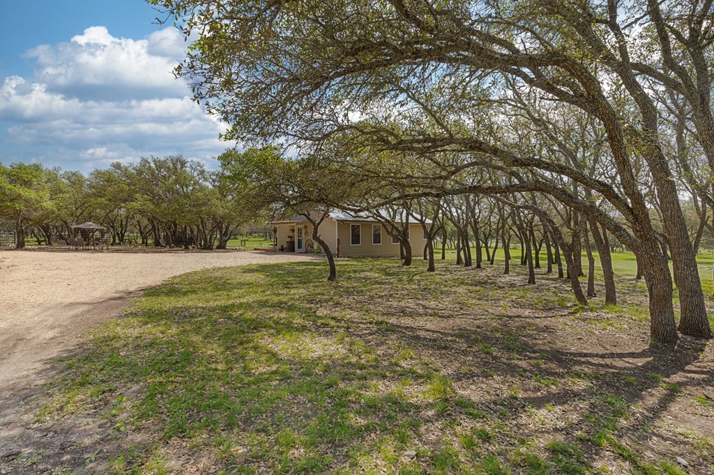 main property photo 41