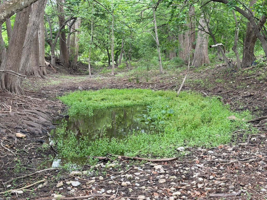 main property photo 7