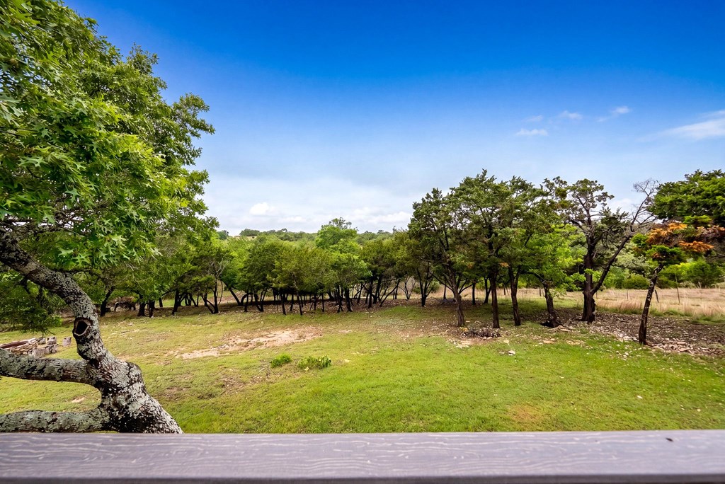 main property photo 42